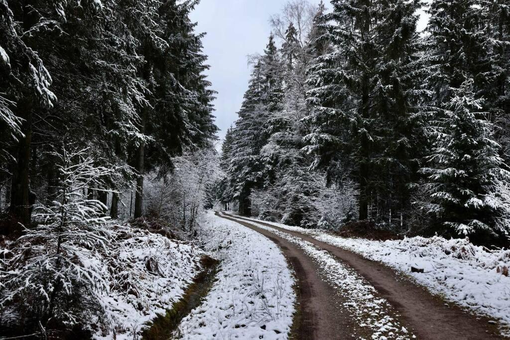 Altes Zollhaus Διαμέρισμα Hallschlag Εξωτερικό φωτογραφία