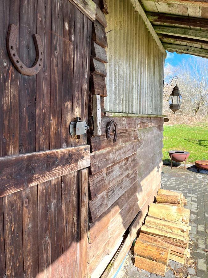 Altes Zollhaus Διαμέρισμα Hallschlag Εξωτερικό φωτογραφία